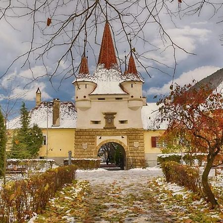 Avantgarden Brasov, Perfect Home - 1 Room Apartment Экстерьер фото